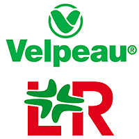 VELPEAU - L&R