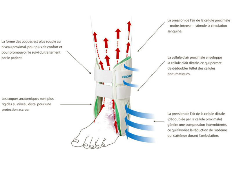 Orthèse de Cheville - Classique II - Droite 