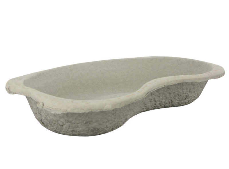 Haricot Réniforme - Papier recyclé 