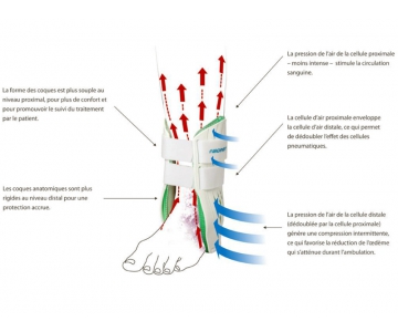 Orthèse de Cheville - Classique II - Droite - AIRCAST