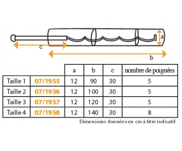 Ceinture d