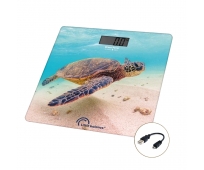 Pèse-personne - Tortue marine - USB-R - LITTLE BALANCE