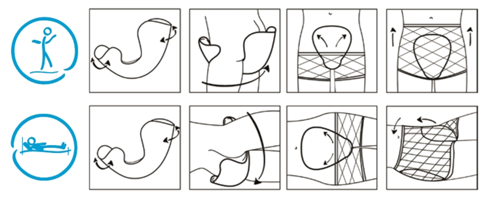 AMD Form - Maxi Plus - Protections Anatomiques - Paquet de 20