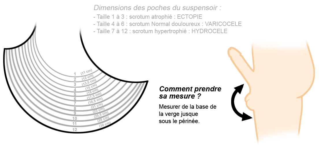 Suspensoir Testiculaire - Celeno 